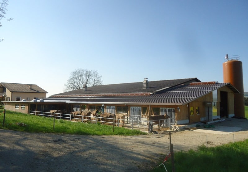 An- Umbau Boxenlaufstall in Istighofen