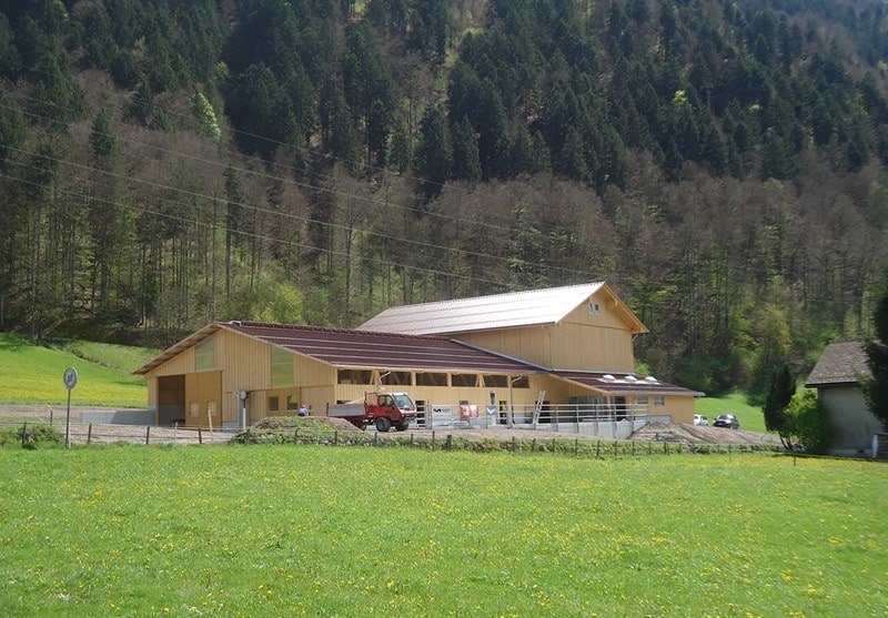 neubau-boxenlaufstall-heuraum-planung-bauleitung-holzbau