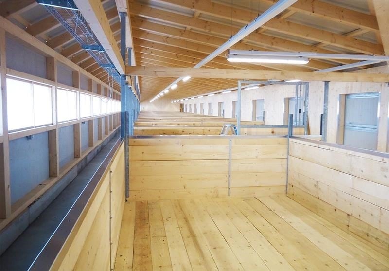 neubau-eselheim-feldbach-planung-mithilfe-holzbau