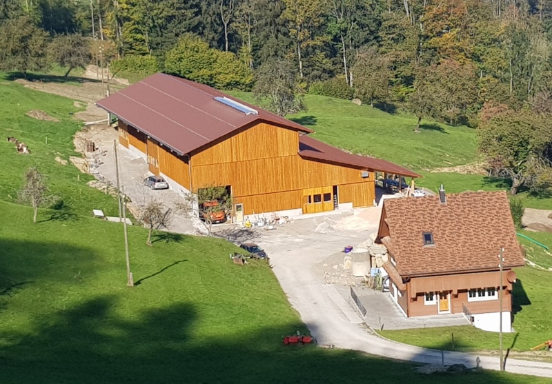 neubau-mutterkuhlaufstall-planung-bauleitung-holzbau