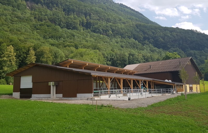 um-anbau-boxenlaufstall-planung-bauleitung-holzbau