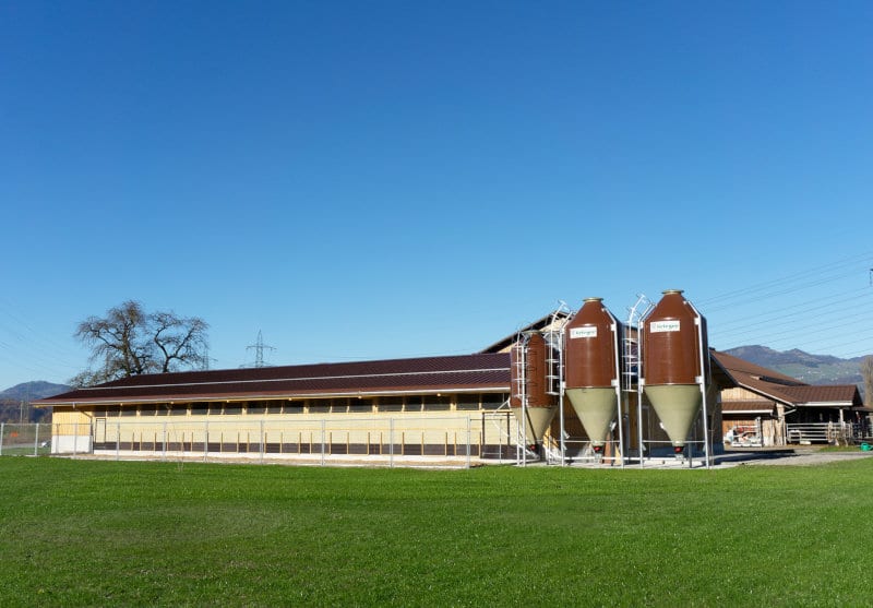 neubau-legehennenstall