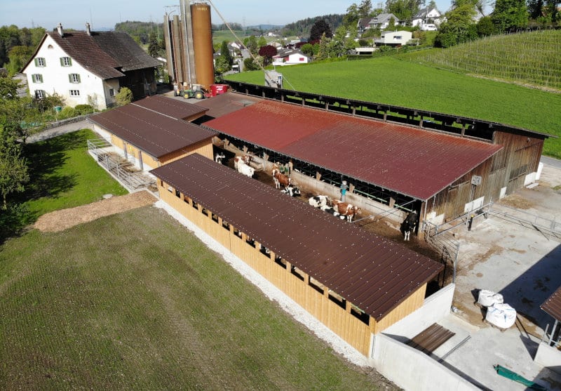 boxenlaufstall-holzbau