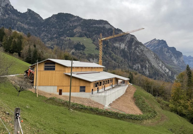 neubau-mutterkuhlaufstall